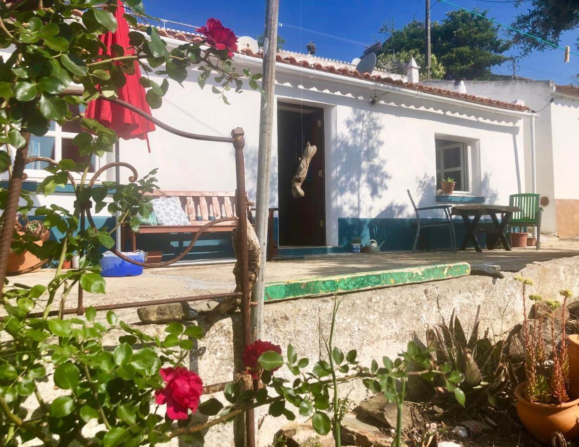 Casa Anneli - Relaxing Under The Olive Tree Villa Aljezur Eksteriør billede